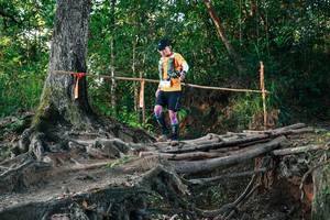 BIB: 
                            <button type="button" onclick="openModal(27543282)" class="btn btn-primary btn-sm float-right btn-popup" data-toggle="modal" data-target=".modal-high-quality">
                        <i class="fas fa-shopping-cart"></i> Add to Cart
                    </button>
                                            <button type="button" onclick="isThisMe(27543282, true)" class="btn btn-success btn-sm float-right btn-popup btn-isme hidden" data-toggle="tooltip" data-placement="bottom" title="นี่คือรูปของคุณใช่ไหม คลิกที่นี่เพื่อเอาเข้าอัลบั้ม">
                        <i class="fas fa-plus"></i> Add to album
                    </button>
                    <button type="button" onclick="isThisMe(27543282, false)" class="btn btn-warning btn-sm float-right btn-popup btn-isnotme hidden">
                        <i class="fas fa-ban"></i> Remove from album
                    </button>